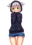  1girl animal_ears blush cat_ears fast-runner-2024 green_eyes grey_hair highres looking_at_viewer 