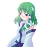  bad_id blue_eyes detached_sleeves frog green_hair hair_ornament kazuha_(ichiwa) kochiya_sanae short_hair simple_background snake solo touhou 