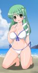  bad_id barefoot beach bikini blush breasts curvy frog green_eyes green_hair hair_ornament kochiya_sanae kyokutou_hentai_samurai large_breasts long_hair snake solo swimsuit touhou wide_hips 