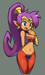  1girl absurdres arm_behind_back bandeau blue_eyes bracer breasts choker cleavage cowboy_shot cropped_legs dark_skin earrings forehead_jewel grey_background hair_tubes highres hoop_earrings jewelry long_hair makoto_yabe midriff navel official_art pointy_ears ponytail purple_hair shantae shantae_(character) shantae_and_the_pirate&#039;s_curse simple_background smile solo tiara very_long_hair vest 