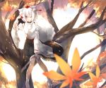  1girl absurdres animal_ears autumn_leaves blush breasts detached_sleeves hat highres in_tree inubashiri_momiji leaf looking_at_viewer midriff one_eye_closed open_mouth pom_pom_(clothes) red_eyes ribbon-trimmed_sleeves ribbon_trim short_hair silver_hair sitting sitting_in_tree skirt solo tail tokin_hat touhou tree tree_branch wolf_ears wolf_tail 