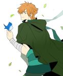  1boy archer_(fate/extra) bird cape cloak fate/extra fate_(series) green_eyes hair_over_one_eye lancelot_(smalock) leaf orange_hair solo 