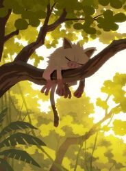  absurdres branch closed_eyes day highres hyogonosuke in_tree leaf mankey nature no_humans outdoors plant pokemon pokemon_(creature) sleeping snout solo tail tree vines 