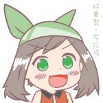  1girl blush commentary_request dot_nose fang green_bandana green_eyes gyate_gyate haruka_(pokemon) highres japanese open_mouth pokemon solo translation_request 