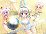  blue_eyes breasts checkered checkered_bikini cleavage frilled_bikini frills front-tie_top hatsuji_mihama heterochromia hontani_kanae lens_flare long_hair mihama_hitsuji moribe_(rabumanyo) natsu_yume_nagisa natsuyume_nagisa pink_hair purple_hair red_hair redhead rougi_maki side-tie_bikini swimsuit toono_haruka volleyball 