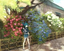  1boy bandaged_arm bandaged_leg bandages bangs blue_eyes blue_hair bucket building bush cobblestone fence flower from_behind hair_over_one_eye hair_ribbon holding_bucket house hydrangea japanese_clothes looking_back male_focus no_socks outdoors pavement plant ponytail ribbon sandals sash sayo_samonji solo standing sunlight tobacco_(artist) touken_ranbu tree tree_shade 