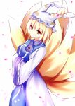  1girl blonde_hair breasts dress fox_tail hands_in_sleeves hat hat_with_ears large_breasts light_smile long_sleeves looking_at_viewer meng_xiao_jiong multiple_girls petals pillow_hat short_hair smile tabard tail touhou white_dress wide_sleeves yakumo_ran yellow_eyes 