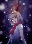  1girl :d anna_nishikinomiya bangs bare_tree blurry bokeh depth_of_field hairband long_sleeves matsuki_miyu night night_sky open_mouth outdoors red_scarf scarf shimoneta_to_iu_gainen_ga_sonzai_shinai_taikutsu_na_sekai shirt short_hair silver_hair sky slowpit smile snow solo star_(sky) starry_sky tree upper_body white_shirt 