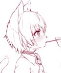  1girl animal_ears blush cat_ears cat_tail furry kida_kuro_mu monochrome original pocky shiro_(kida_kuro_mu) short_hair simple_background tail white_background 