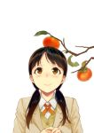  1girl blazer blush branch brown_eyes brown_hair food food_on_head fruit fruit_on_head hands_together leaf low_twintails object_on_head original persimmon sasamori_tomoe school_uniform smile solo twintails 
