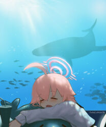  1girl absurdres ahoge aquarium blue_archive blurry blurry_background blush closed_eyes commentary_request cup fang fish flying_nimbus hair_between_eyes highres holding holding_stuffed_toy hoshino_(blue_archive) indoors medium_hair open_mouth pink_hair shirt sleeping solo stuffed_toy stuffed_whale sunlight tomatoketchup96 twitter_username underwater upper_body whale white_shirt 