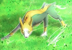  absurdres animal_hands aura boltund dynamic_pose electricity fighting_stance from_above full_body glowing grass green_fur highres leaf looking_at_viewer mitsukuma448 no_humans nose pokemon pokemon_(creature) short_tail signature solo tail white_fur yellow_fur 