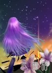  boxcutter flower from_behind jidori long_hair monogatari_(series) night purple_hair scissors senjougahara_hitagi skirt sky stapler star star_(sky) starry_sky thigh-highs thighhighs zettai_ryouiki 