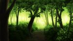  aoha_(twintail) forest green nature no_humans original path road scenery tree 