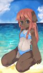  1girl animal_ears azuki_akizuki bikini blue_eyes furry long_hair original redhead sitting solo swimsuit tail water yuneri_(azuki_akizuki) 