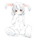  azuki_akizuki blush furry looking_at_viewer nude short_hair simple_background solo white white_background white_hair 