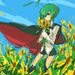  1girl antennae blue_eyes blue_sky cape commentary_request field flower flower_field green_hair notoro outdoors short_hair shorts sketch sky solo sunflower touhou wriggle_nightbug 