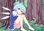  1girl barefoot blue_eyes blue_hair blush cirno crossed_arms dress forest hifumiyo ice ice_wings legs looking_at_viewer nature short_dress short_hair shy solo touhou tree wings 