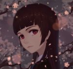  1girl bangs blunt_bangs brown_hair cherry_blossoms earrings face flower jewelry lips long_hair looking_at_viewer looking_to_the_side original red_eyes smile solo 