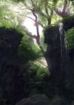  fern fujibejifu highres moss nature no_humans original outdoors plant rock scenery sunlight tree water 