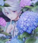  1boy finger_to_mouth flower hydrangea ma_na_roo male_focus mikleo_(tales) rain short_hair solo tales_of_(series) tales_of_zestiria violet_eyes white_hair 