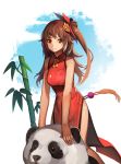  1girl brown_eyes brown_hair china_dress chinese_clothes highres kamisakai long_hair original panda solo 