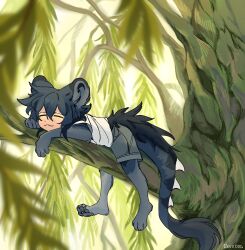  1boy :3 absurdres animal_feet animal_hands blue_hair closed_eyes deviidog0 english_commentary full_body fur-tipped_tail highres in_tree male_focus monster_girl original outdoors shirt short_hair shorts solo stomach tail tree 