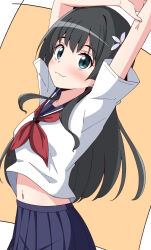  1girl :3 absurdres aikawa_ryou bare_arms black_hair blue_sailor_collar blue_skirt closed_mouth flower hair_flower hair_ornament highres long_hair midriff navel neckerchief pleated_skirt red_neckerchief sailor_collar sakugawa_school_uniform saten_ruiko school_uniform serafuku shirt simple_background skirt smile toaru_kagaku_no_railgun toaru_majutsu_no_index white_shirt 