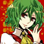  bad_id finger_to_mouth green_hair hands head_tilt kazami_yuuka lips lowres plaid_vest popoin portrait red_eyes short_hair smile solo touhou 