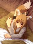  barefoot bed blush brown_hair feet food fruit hands highres holo long_hair lying on_stomach red_eyes smile solo spice_and_wolf tail tyamau0525_(pixiv) 