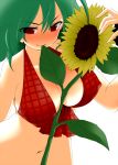  bad_id between_breasts blush breasts bust cleavage flower green_hair kazami_yuuka large_breasts mouth_hold navel no_nose plaid_bikini red_eyes short_hair simple_background sunflower touhou tyobimiru white_background 