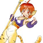  1girl animal_ears artist_request blush breasts breath_of_fire breath_of_fire_ii bustier cat_ears cat_tail cleavage facial_mark furry gloves green_eyes orange_hair pointy_ears rinpoo_chuan short_hair solo staff tail 