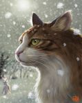  cat face matataku no_humans original snowflakes snowing solo_focus winter 