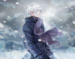 1boy aqua_eyes bangs black_gloves breath coat from_side ginko gloves hands_in_pockets jane_mere long_sleeves looking_away male_focus mushishi parted_lips purple_scarf scarf snow snowing solo white_hair winter 