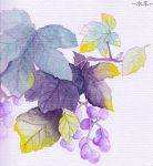  berries leaf mw no_humans original traditional_media watercolor_(medium) 