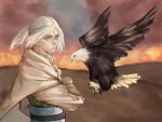  1boy arslan arslan_senki bald_eagle bird blue_eyes cape danial eagle falconry from_side gloves green_gloves looking_at_viewer male_focus ponytail upper_body white_hair 