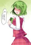  1girl ^_^ ass blush closed_eyes commentary container dress green_hair hammer_(sunset_beach) kazami_yuuka looking_at_viewer open_mouth skirt skirt_set smile solo touhou translated vest 