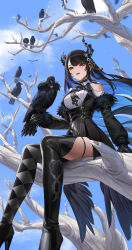  1girl absurdres argyle_clothes argyle_pantyhose asymmetrical_horns bare_tree belt black_boots black_bow black_bowtie black_gloves black_hair black_skirt black_vest blue_hair blue_sky boots bow bowtie breasts clothing_cutout clouds collared_shirt colored_inner_hair commentary day dress_shirt feather-trimmed_sleeves flower flower_knot framed_breasts full_body gloves hair_ornament highres hololive hololive_english horn_flower horns large_breasts long_hair long_sleeves looking_at_viewer mcking miniskirt mole mole_under_eye multicolored_hair musical_note musical_note_hair_ornament nerissa_ravencroft nerissa_ravencroft_(1st_costume) open_mouth outdoors ribbed_shirt shadow_(nerissa_ravencroft) shirt shoulder_cutout sidelocks single_leg_pantyhose sitting sitting_on_branch skirt sky slit_pupils solo swept_bangs tassel tassel_hair_ornament teeth thigh_boots tree underbust uneven_horns upper_teeth_only very_long_hair vest violet_eyes virtual_youtuber white_shirt 