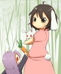  2girls animal_ears bamboo bamboo_forest blazer brown_eyes brown_hair bunny_tail carrot dress forest from_behind happy holding_animal inaba_tewi itokayu long_hair long_sleeves looking_at_another looking_down looking_up multiple_girls nature open_mouth pink_dress purple_hair rabbit rabbit_ears red_eyes reisen_udongein_inaba short_hair smile tail touhou younger 
