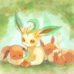 :d brown_eyes closed_eyes closed_mouth commentary_request day eevee furukawa_raku highres leafeon lying no_humans open_mouth outdoors pokemon pokemon_(creature) pokemon_focus smile 