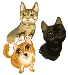  animal_ears animal_focus brown_eyes cat cat_ears no_humans open_mouth original portrait simple_background squinting whiskers white_background yahidna 