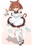  1girl :d alternate_costume animal_ears apron blush brown_eyes brown_hair cat_ears cat_tail enmaided fang hair_ornament hairclip highres ikazuchi_(kantai_collection) kantai_collection kemonomimi_mode looking_at_viewer maid mary_janes open_mouth rateratte shoes short_hair simple_background skirt smile solo tail teapot thigh-highs white_legwear wrist_cuffs zettai_ryouiki 