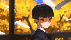  1boy 8083_blue autumn bird black_hair blunt_bangs blurry blurry_background bright_pupils closed_mouth commentary_request dove hoshina_soshiro japanese_clothes kaijuu_no._8 looking_at_viewer male_focus outdoors petals red_eyes short_hair solo upper_body white_bird white_pupils 