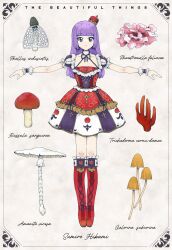  1girl aikatsu! aikatsu!_(series) basket_stinkhorn blunt_bangs boots character_name crown dress expressionless full_body highres hikami_sumire knee_boots lace-up_boots long_hair looking_at_viewer mini_crown mushroom outstretched_arms print_dress purple_hair red_boots red_dress solo spread_arms standing stinkhorn violet_eyes wrist_cuffs zouni_(zoni_pict) 