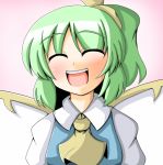  green_hair happy mori_181 short_hair touhou 