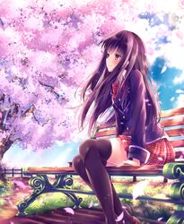  bench blazer brown_eyes brown_hair cherry_blossoms clouds long_hair original petals plaid school_uniform sitting skirt sky soujun7023 thigh-highs tree zettai_ryouiki 