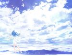  1girl angel angel_wings bird blue blue_hair blue_sky clouds commentary_request day dress from_behind horizon ko_(tumugikou) long_hair original outstretched_arms reflection ripples scenery short_dress sky solo sunlight wading white_dress wind wings 