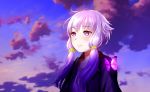  1girl butterfly clouds frown hooded_jacket long_hair looking_afar low_twintails purple_hair sky solo sunrise technoheart twintails upper_body violet_eyes vocaloid voiceroid yuzuki_yukari 