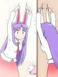  1girl animal_ears carrot commentary_request dress ear_pull inaba_tewi inaba_tewi_(bunny) kirisaki_chitoge long_hair necktie nisekoi pink_dress purple_hair rabbit_ears red_eyes reisen_udongein_inaba shirosato shirt skirt touhou trembling very_long_hair 