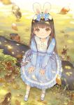  1girl animal animal_ears bangs black_hair blue_bow blue_dress blue_shoes blunt_bangs bobby_socks bow brown_eyes dappled_sunlight dress fake_animal_ears frilled_dress frilled_sleeves frills from_above full_body grass hair_bow lace leaf lolita_fashion long_hair long_sleeves looking_at_viewer looking_up original outdoors polka_dot polka_dot_bow polka_dot_dress rabbit rabbit_ears shoe_bow shoes sitting smile socks solo watermark web_address white_legwear xiangtu 